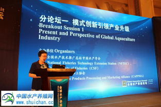 引領未來水產養殖 七大創新模式與技術推廣新路徑